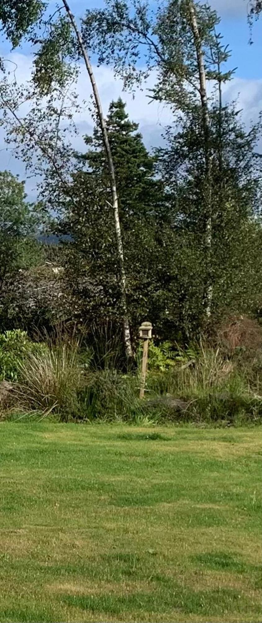 Villa Tawny Owl Pod With Hot Tub Oban Exterior foto